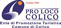 Logo Colico