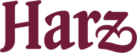 Logo Benneckenstein