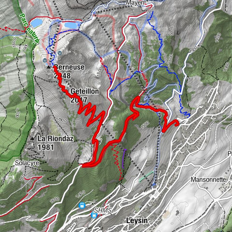 Berneuse, Vaud/Schweiz/Suisse/Svizzera/Svizra