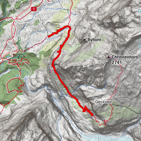 Grindelwald, Bern/Berne/Schweiz/Suisse/Svizzera/Svizra