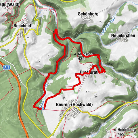 Rockenburger Urwaldpfad