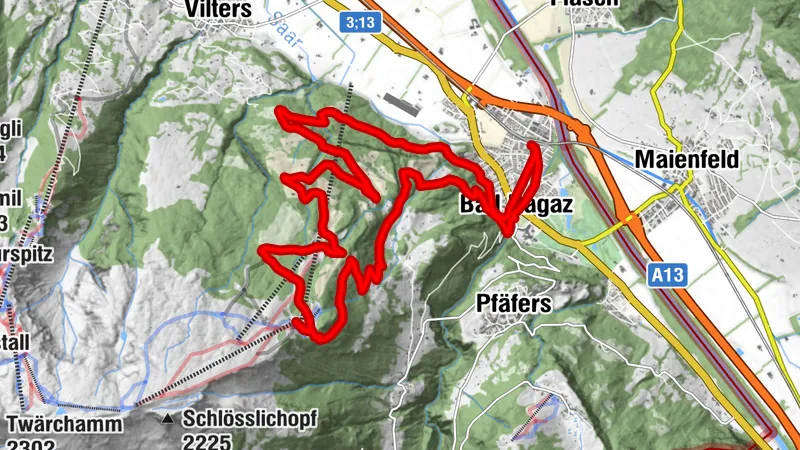 Pizol Pardiel Bike Nr. 474
