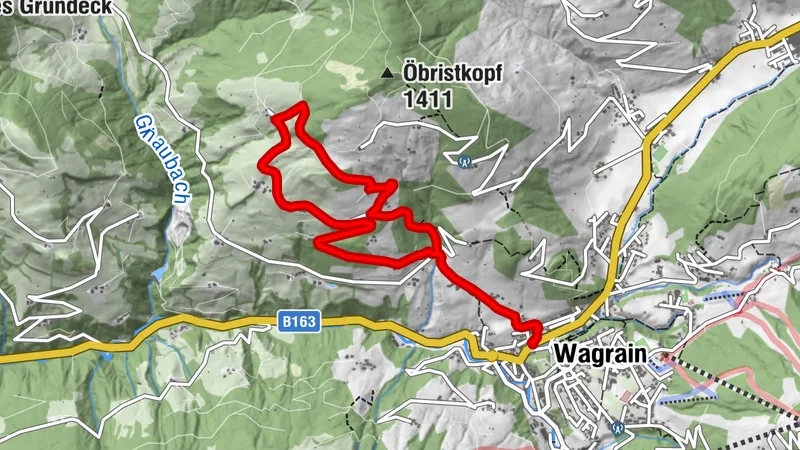 Wagrain - Schickenreitbauer - Wagrain