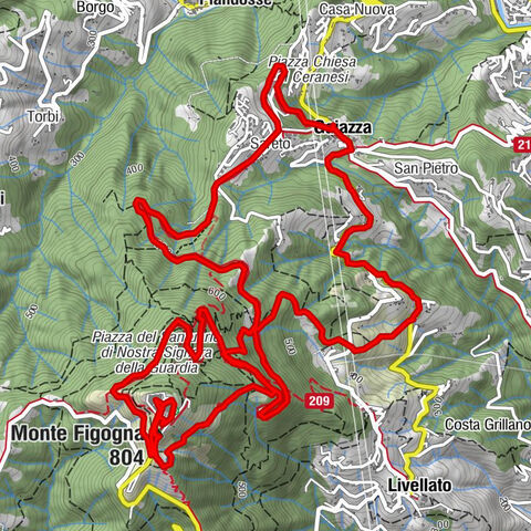 Dh Apparizione – Pistini di Livellato