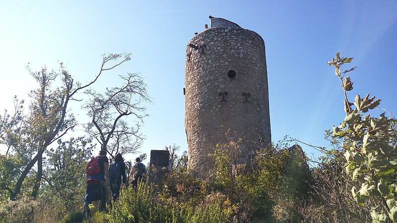 Karte