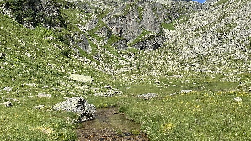 Karte