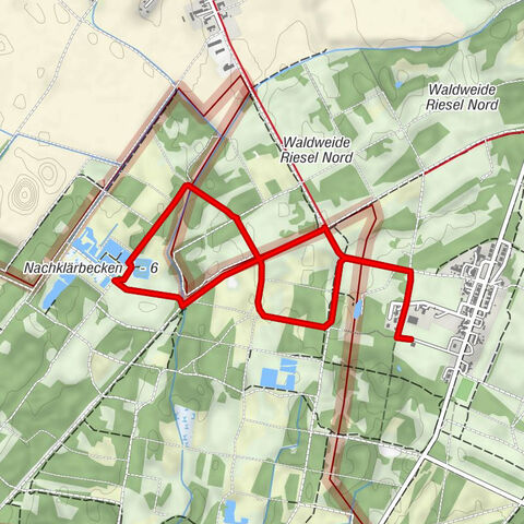 Jagd durch den Hobrechtswald