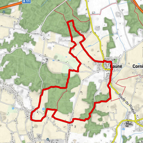 Duft des Unterholzes