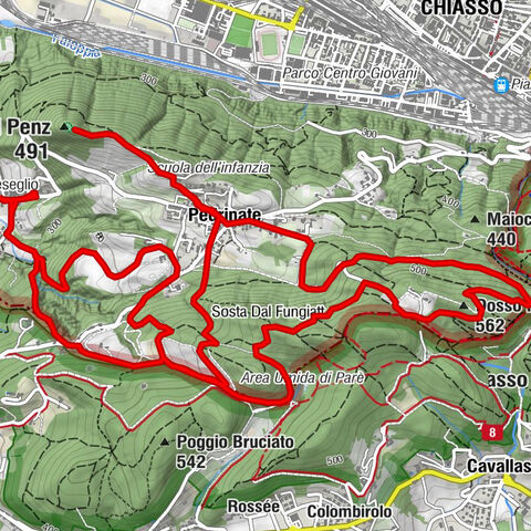 Weinwanderung: Die Weinbautechniken