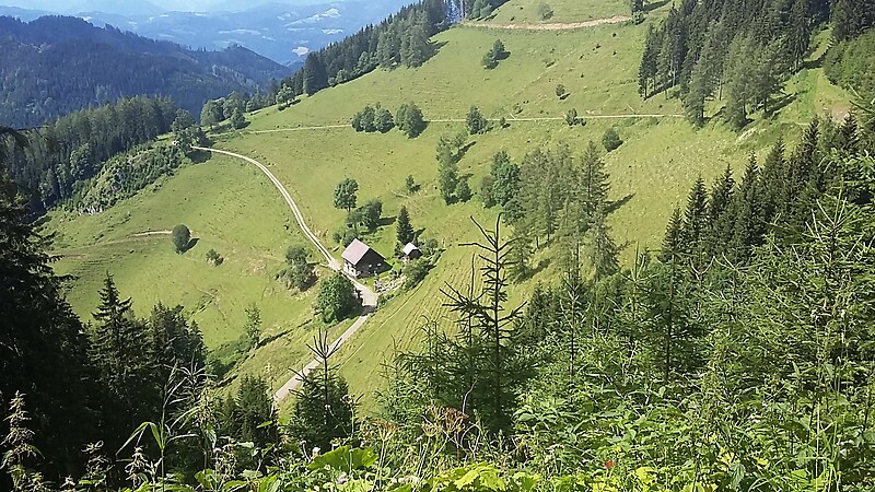 Karte
