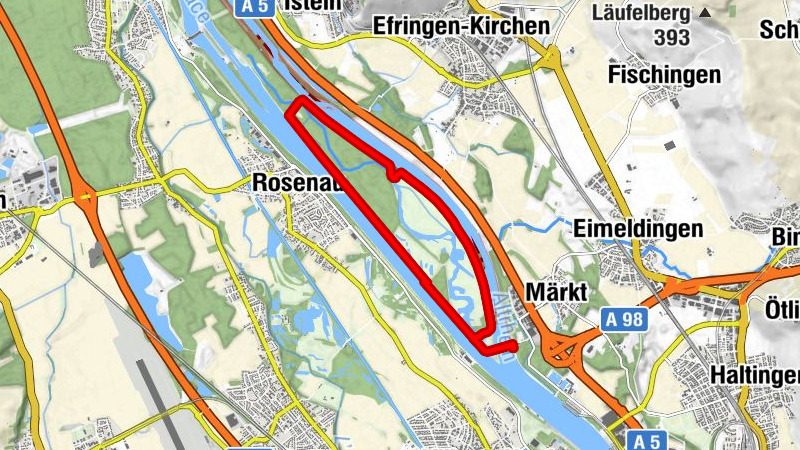Ile de Rhine