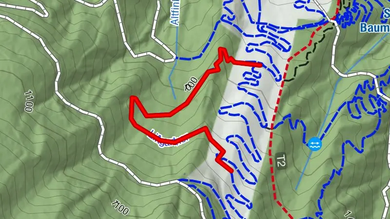 Liftgartner Trail - T40