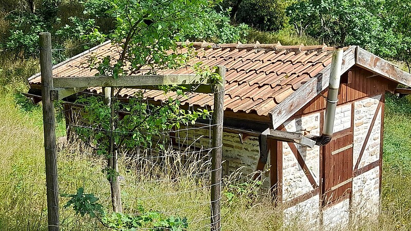 Karte