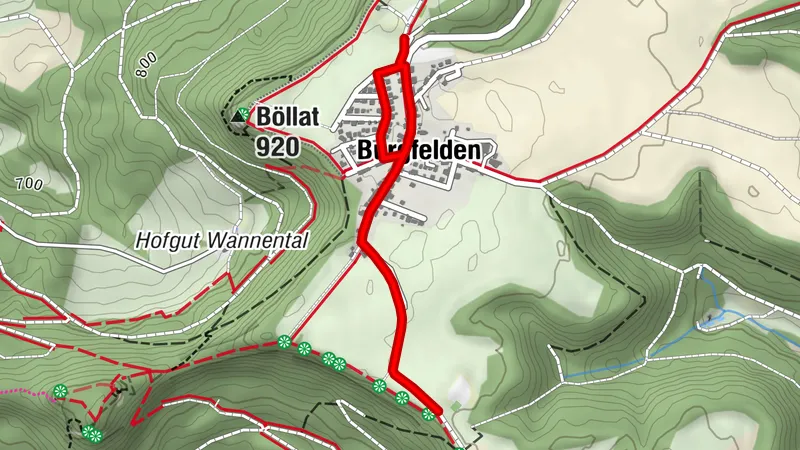 Albstadt-Burgfelden - Burgweg - Heersberg (berollbar)