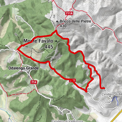Sentiero giro del Monte Favato - sentiero 711 in camminata