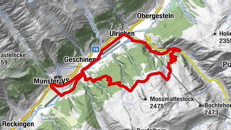 Mossmattentrail