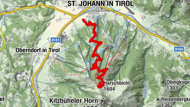 MTB Nr. 214 - Harschbichl I