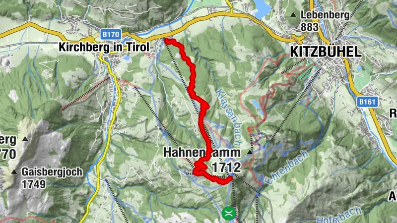 293 Fleckalm Trail