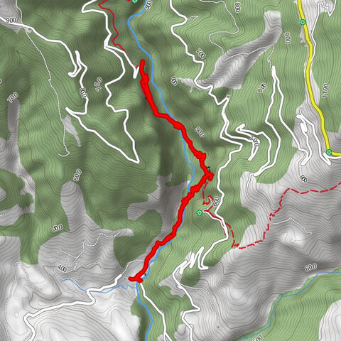 Lousius Schlucht