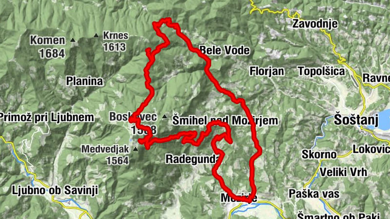 Smrekovec in Golte 2