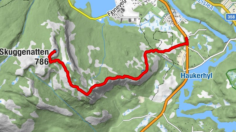Nissedal - Skuggenatten