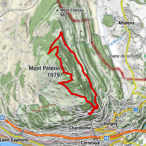 Le Chalet du Mont-Pèlerin - Le Mont-Pèlerin - Mont Pèlerin