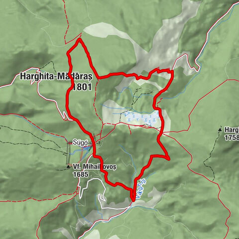 Cabana Madarasi Menedékház - Pensiunea Vitus - Súgó Panzió - Harghita-Mădăraș