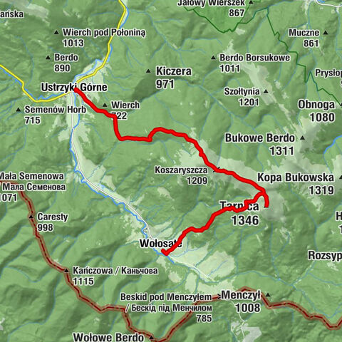 Wołosate - Tarnica - Tarniczka - Ustrzyki Górne
