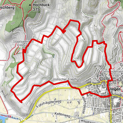 Ihringen-Winzerrundweg West