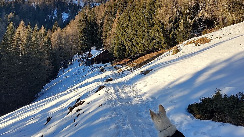 Karte