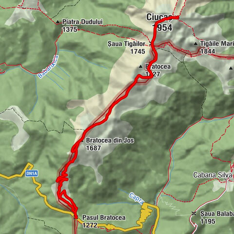 Pasul Bratocea - Bratocea din Jos - Ciucaș - Șaua Tigăilor