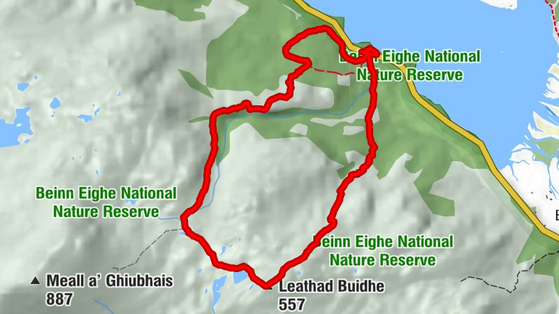 Highland - Leathad Buidhe