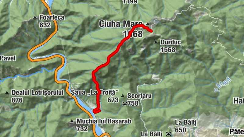 Cabana Cozia - 1125 - Cabana Cozia restaurant - Călimănești