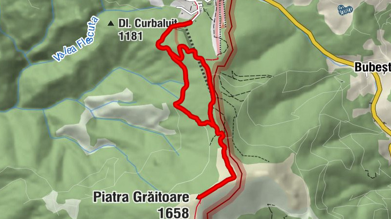 Arieșeni - Piatra Grăitoare