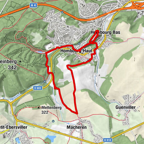 Hombourg-Haut - Collégiale Saint-Étienne - Steilberg - Hellering