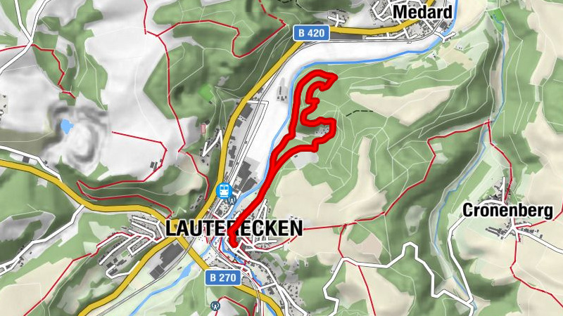 Lauterecken - Veldenzköpfchen