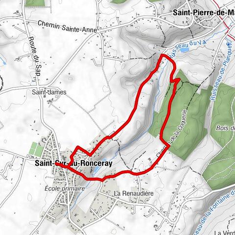 Église Saint-Cyr-et-Sainte-Julitte - Saint-Cyr-du-Ronceray