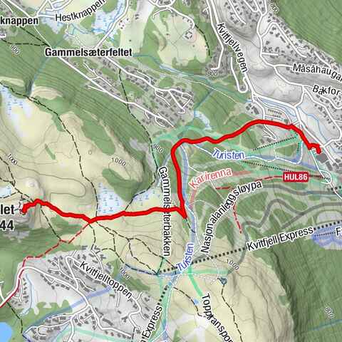 Ringebu - Fôr - Kvitfjell - Kvitfjellet