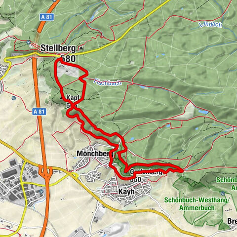 Herrenberg - Schützenhaus Mönchberg - Grafenberg - Kapf