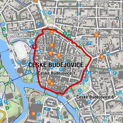 České Budějovice 1 - Kostel Svaté rodiny - České Budějovice - Obětování Panny Marie