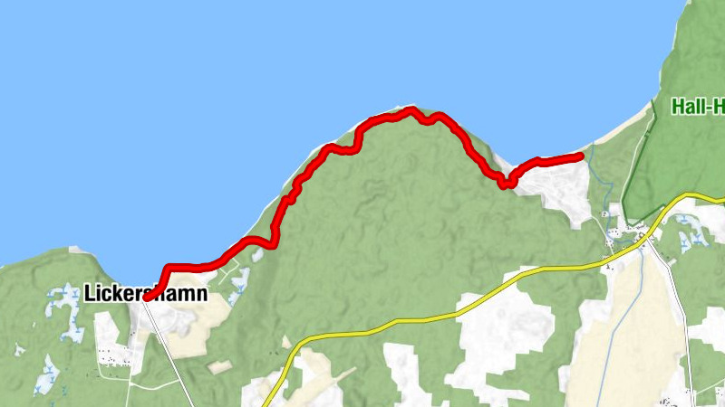 Brasseri Lickershamn - Lickershamn - Irevik