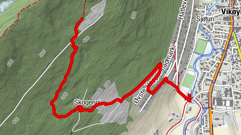 Vik - Skogengi