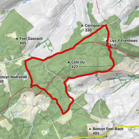 Clocaenog - Llys Y Frenhines