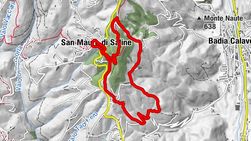 Chiesa di San Leonardo - Chiesa San Valentino - San Leonardo di Limoges 1388 Dc - San Mauro di Saline