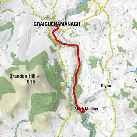 River Palace - Chinese and Thai Restaurant - Duiske Abbey - Graiguenamanagh - Saint Mullins