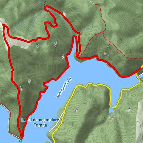 Căpușu Mare - Piatra lui Lucaci