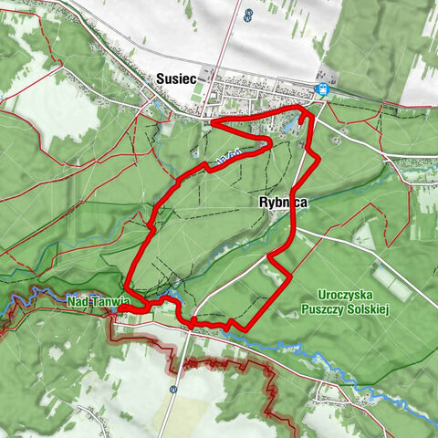 Rybnica - Szumy na Tanwi - Susiec