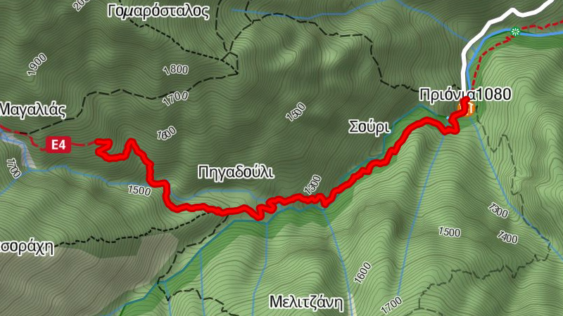 Prionia 1100 - Καταρράκτες Ενιπέα - Πριόνια