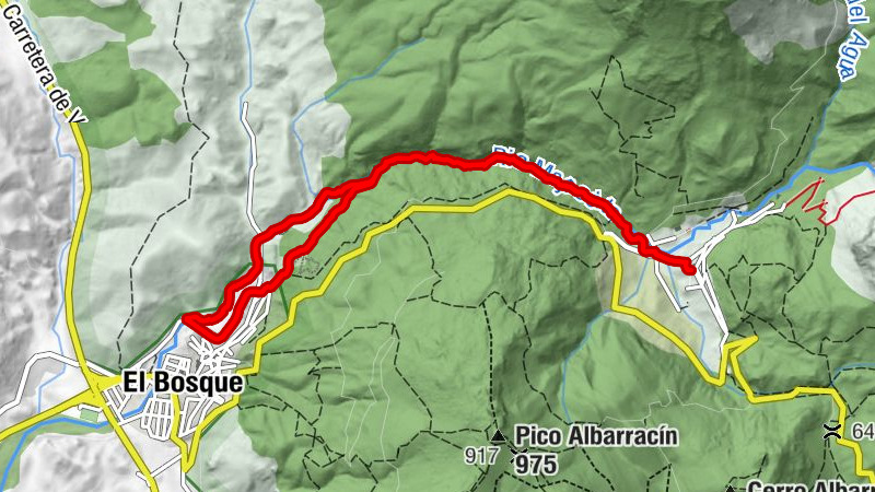 El Bosque