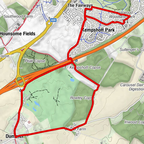 Basingstoke - The Fairways - Dummer